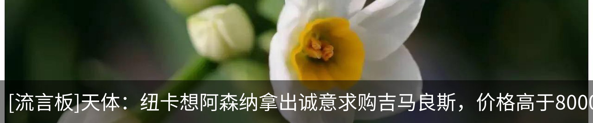 新闻中心
